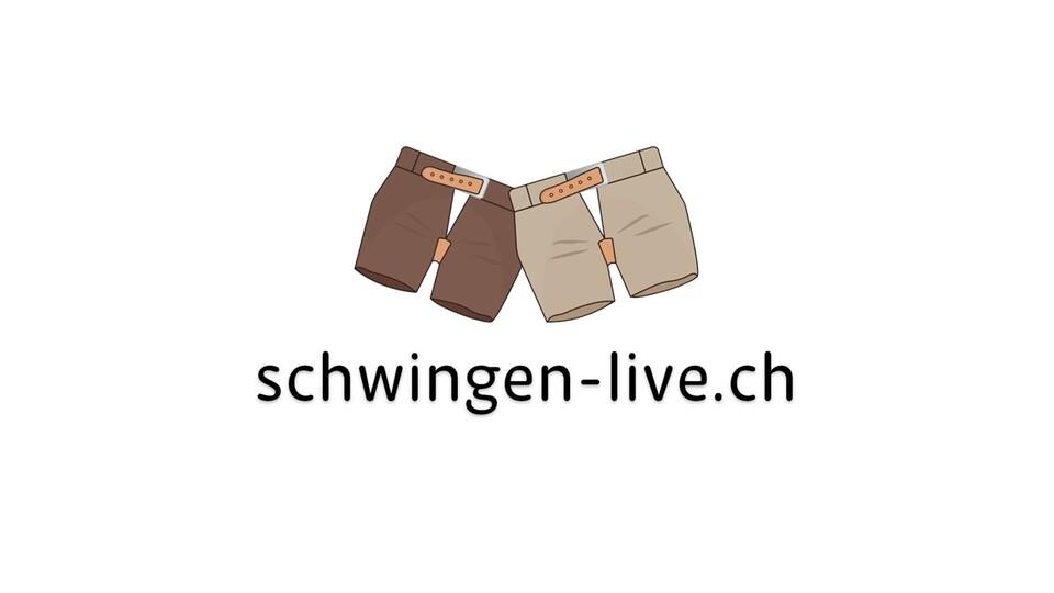 Poster of schwingen-live.ch - Das Angebot in Kürze