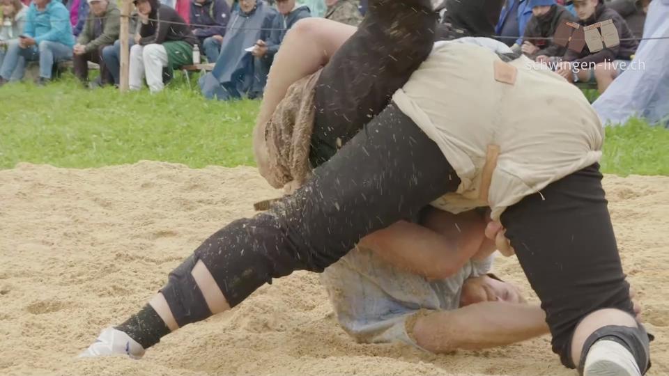 Poster Ricken Schwinget - Highlights